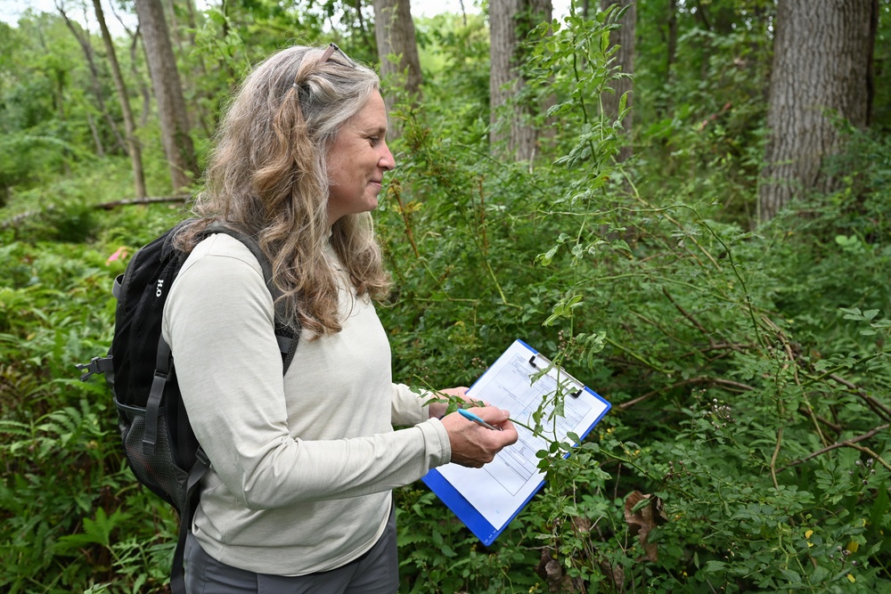 Interagency New York Wetland Rapid Assessment Procedure training
