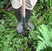 Interagency New York Wetland Rapid Assessment Procedure training