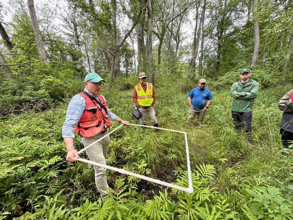 Interagency New York Wetland Rapid Assessment Procedure training