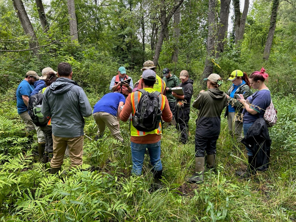 Interagency New York Wetland Rapid Assessment Procedure training