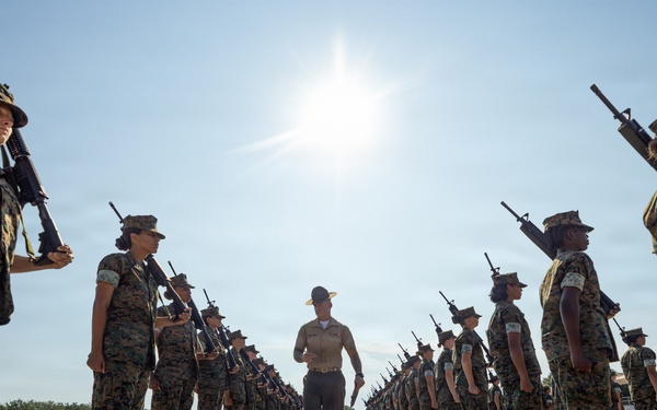 November Company Initial Drill