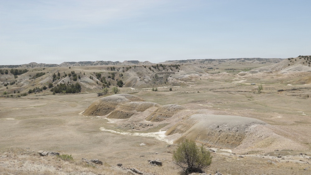 A wide-angle view of an arid badlands landscape featuring eroded sedimentary hills and sparse vegetation. The terrain is characterized by rolling, weathered mounds in tan and grey tones with minimal ground cover. Scattered coniferous trees and shrubs dot the mid and background of the scene under an overcast sky.