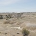A wide-angle view of an arid badlands landscape featuring eroded sedimentary hills and sparse vegetation. The terrain is characterized by rolling, weathered mounds in tan and grey tones with minimal ground cover. Scattered coniferous trees and shrubs dot the mid and background of the scene under an overcast sky.