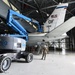 Tail fin Removal