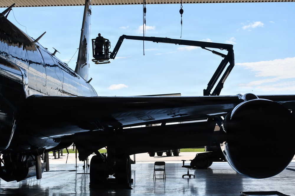 Tail fin Removal