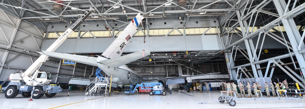 Tail fin Removal