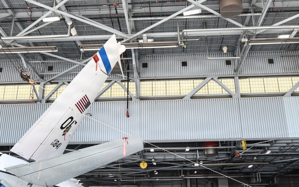 Tail fin Removal