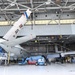 Tail fin Removal