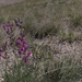 Buffalo Gap National Grassland
