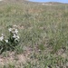 Buffalo Gap National Grasslands
