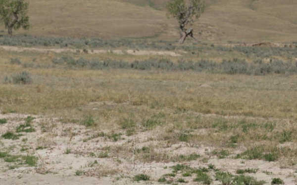 Buffalo Gap National Grassland