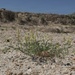 Buffalo Gap National Grassland