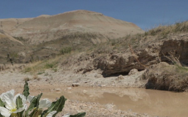 Buffalo Gap National Grassland