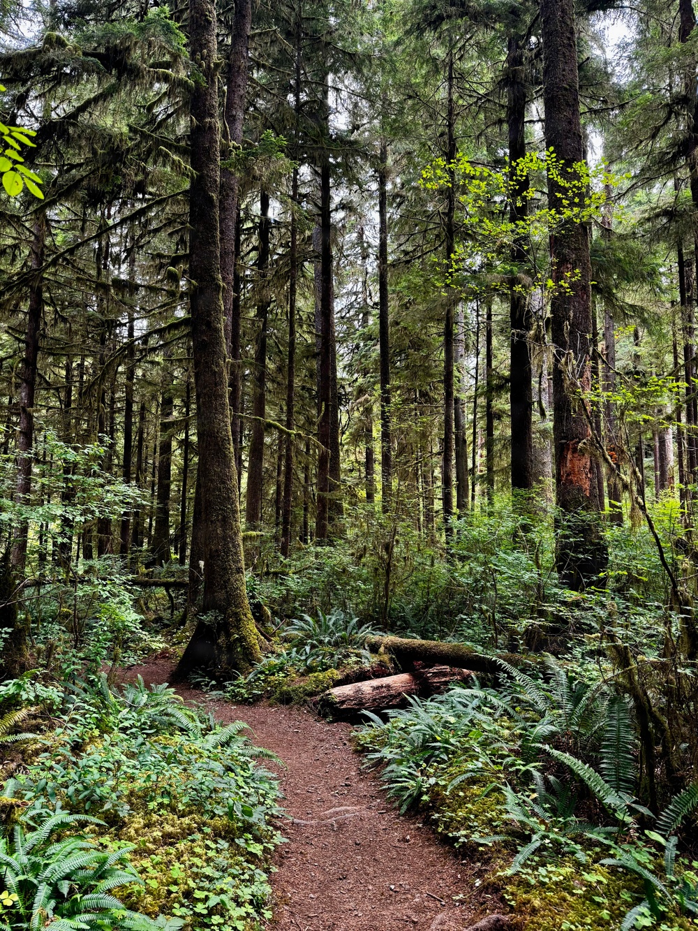 Olympic National Forest