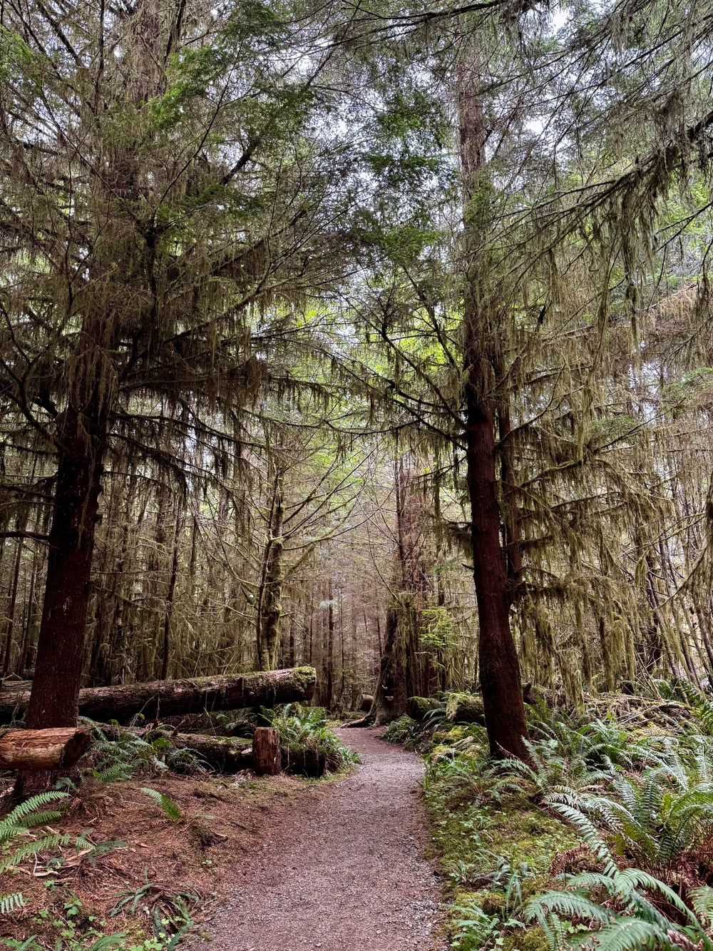 Olympic National Forest