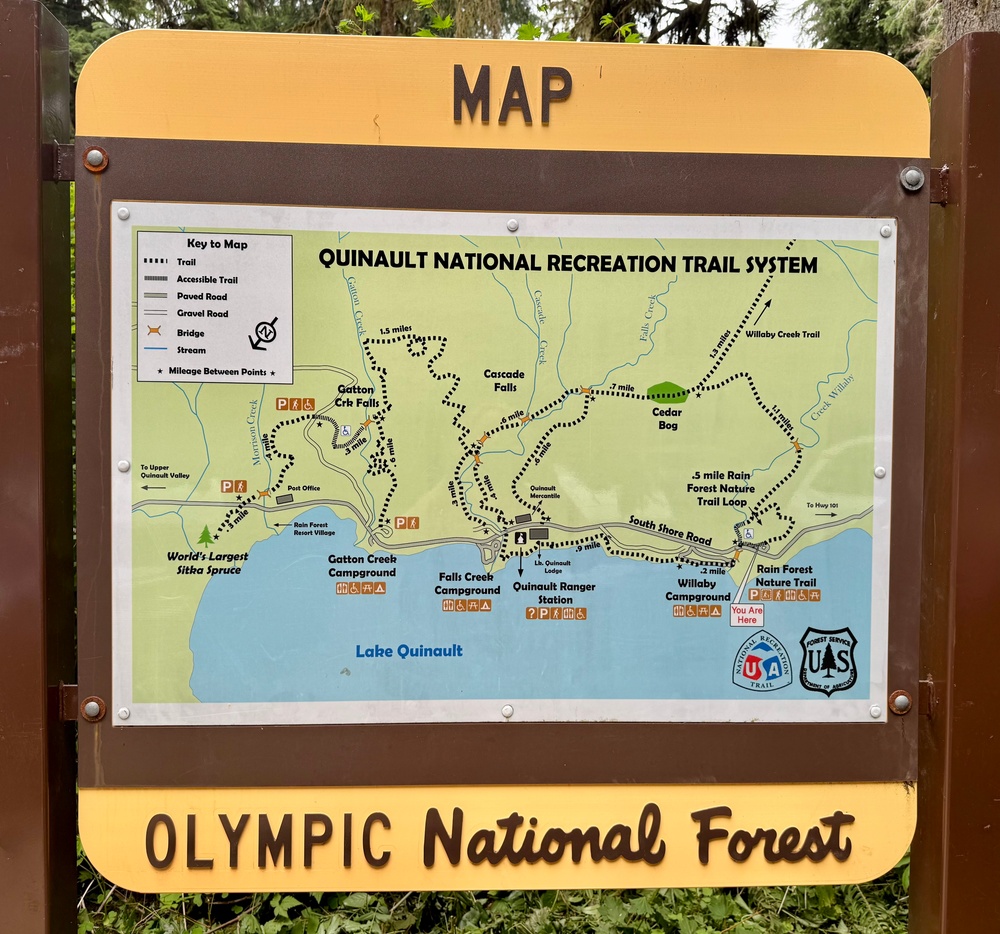 Olympic National Forest