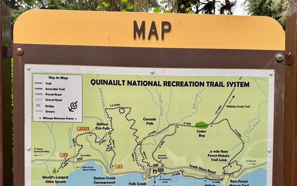 Olympic National Forest