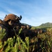 2nd MBCT builds readiness during CALFEX