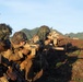 2nd MBCT builds readiness during CALFEX