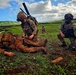 Wolfhounds Maneuver During Combined Arms Live-Fire Exercise