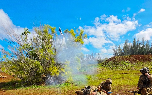 Wolfhounds Maneuver During Combined Arms Live-Fire Exercise