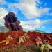 Wolfhounds Maneuver During Combined Arms Live-Fire Exercise