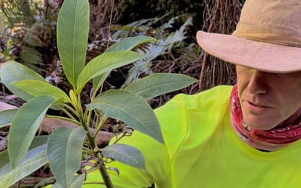 PMRF, DLNR partnership awarded $4.73mil to support Kaua`i watershed protection and strengthen readiness