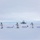 Green Berets, Danish SOF Ski Across Greenland Ice Cap During Operation Apex Indigo Three individuals in white winter camouflage gear are skiing across a vast snow-covered landscape while pulling pulk sleds. Each sled displays a national flag, including a visible American flag and Danish flag. In the background, a domed structure consistent with a polar research station or radar installation is visible on the horizon.