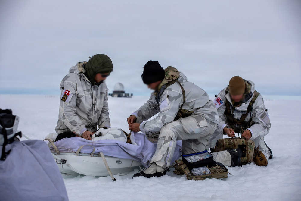 Three military personnel in white arctic camouflage uniforms are conducting what appears to be a field medical exercise or casualty treatment on a snow-covered terrain. Two identifiable national flags are visible — Danish (red and white cross) and American (stars and stripes) — suggesting a joint multinational Arctic operation. A person is lying on a white sled/pulk while the others attend to them with a visible medical kit.