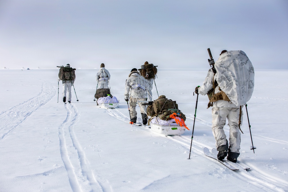 A group of four military personnel in white winter camouflage uniforms are skiing across a vast, flat snow-covered terrain. They are carrying large backpacks and pulling loaded pulk sleds behind them using ski poles for propulsion. The scene appears to be an arctic or subarctic military training or patrol exercise.