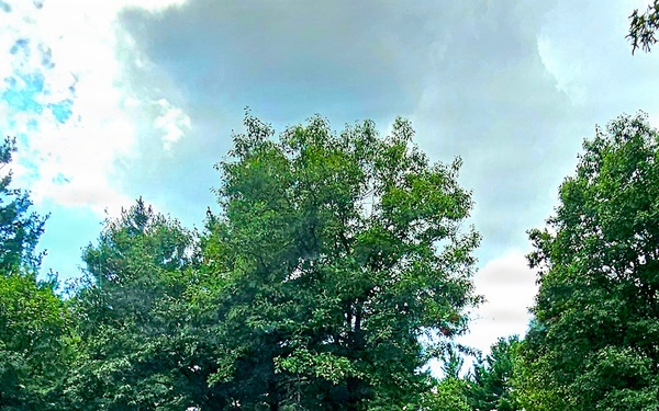 Fort McCoy's Pine View Campground