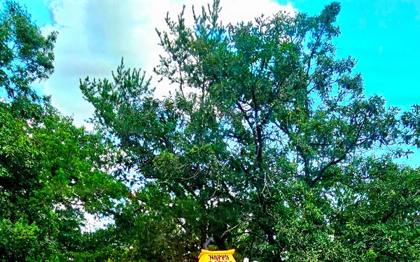 Fort McCoy's Pine View Campground