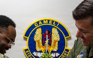 Wild Weasel Walk-Through: 610th Air Control Flight