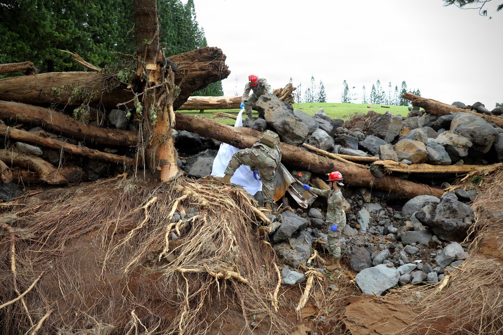 Hawaii National Guard Assists with Hurricane Lala Storm Response