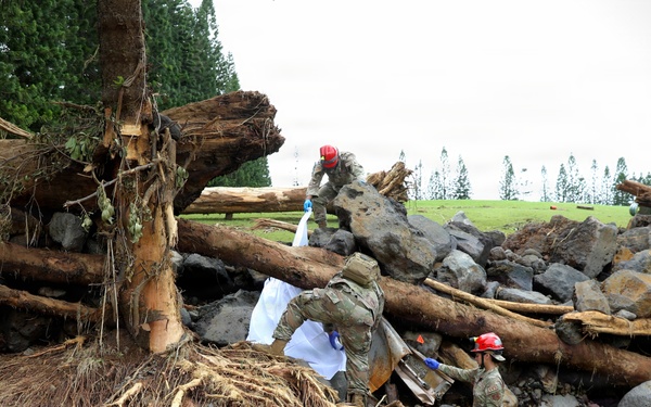 Three individuals in military camouflage uniforms and red helmets are working among a large debris field consisting of fallen trees, exposed roots, and scattered rocks. The scene appears to be a disaster response or cleanup operation following a landslide or severe storm event. The workers are handling bags and tools while navigating the unstable terrain.