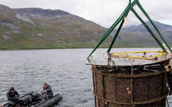 UCT One conducts Dive and Salvage Operations during Northern Viking 2026