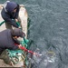 UCT One conducts Dive and Salvage Operations during Northern Viking 2026