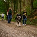 A group of people are hiking along a gravel forest trail surrounded by dense green trees. A young boy in a black t-shirt is leading a large black-and-white fluffy dog on a blue leash, while other walkers follow behind. The scene captures a casual outdoor family or group walk in a lush woodland setting.