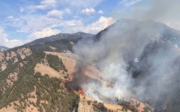 Bills Fire