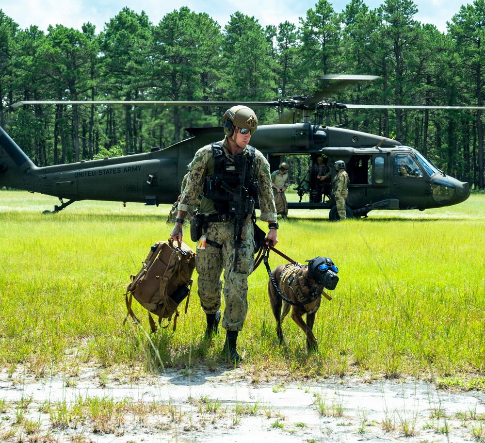 A military service member in camouflage uniform walks away from a United States Army UH-60 Black Hawk helicopter that has landed in a grassy clearing surrounded by pine trees. The operator is accompanied by a military working dog (MWD) equipped with tactical gear including protective goggles (doggles) and a vest, while carrying a tan duffel bag. Additional personnel can be seen near the helicopter in the background, suggesting a training exercise or operational insertion.