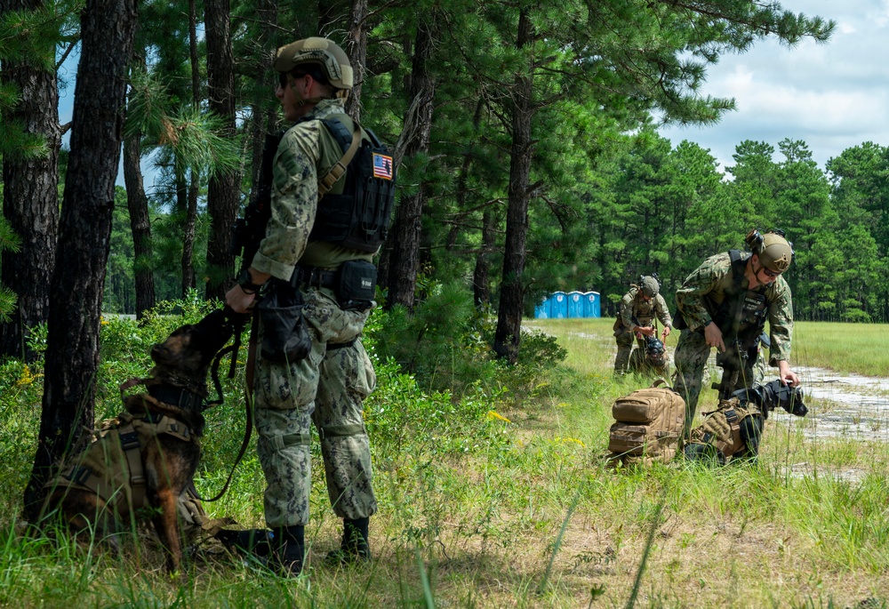 Military personnel in camouflage uniforms are conducting what appears to be a field training exercise in a wooded area. One soldier in the foreground is handling a military working dog (MWD) while other personnel in the background are managing tactical gear and equipment. The setting includes pine trees, open grassland, and portable toilets visible in the background, suggesting a training base or exercise area.