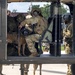 Military personnel in full combat gear are loading or unloading from what appears to be a UH-60 Black Hawk helicopter on a tarmac. A military working dog (MWD), visibly wearing a canine tactical vest or harness, is being handled by one of the soldiers inside the aircraft. The scene depicts a special operations or K9 unit conducting helicopter insertion/extraction training or an operational deployment.