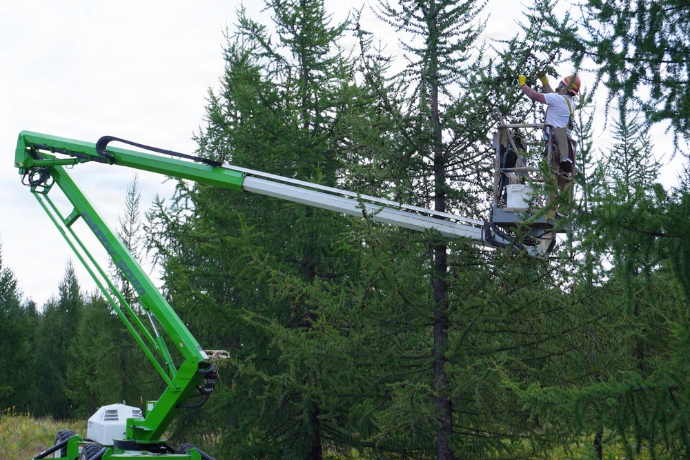 Western Larch Seed Orchard on the Idaho Panhandle