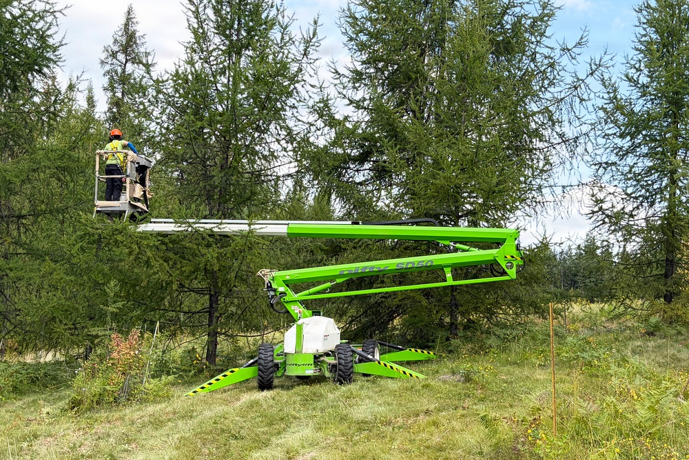 Western Larch Seed Orchard on the Idaho Panhandle