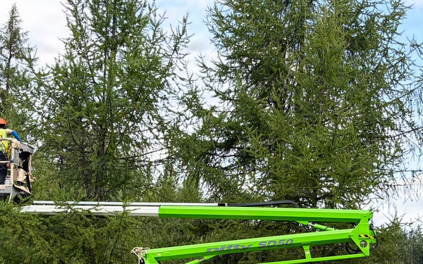 A bright green Niftylift SD50 articulating boom lift is deployed in a forested area with tall conifer trees. Two workers in high-visibility safety gear and hard hats are positioned in the elevated work basket, appearing to perform work at height near the tree canopy. The machine is situated on a grassy clearing with the boom fully extended.