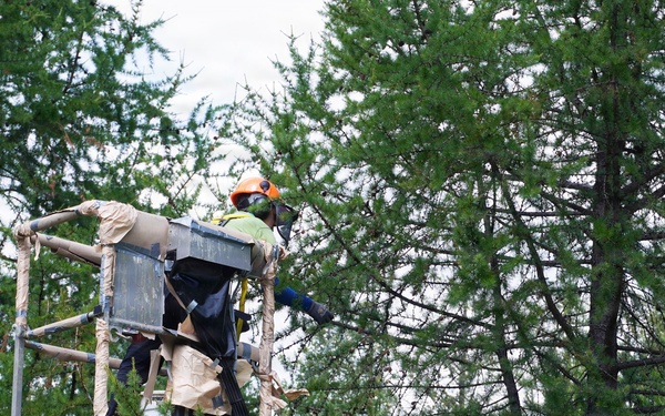 A worker in an aerial lift basket is performing tree work among dense conifer trees. The worker is equipped with safety gear including an orange helmet and high-visibility vest, and is elevated on a green boom lift. The scene appears to be a professional arborist or forestry operation in a wooded area.