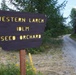 Western Larch Seed Orchard on the Idaho Panhandle