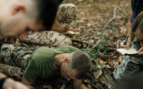 Leadership Decision Making Exercise 1