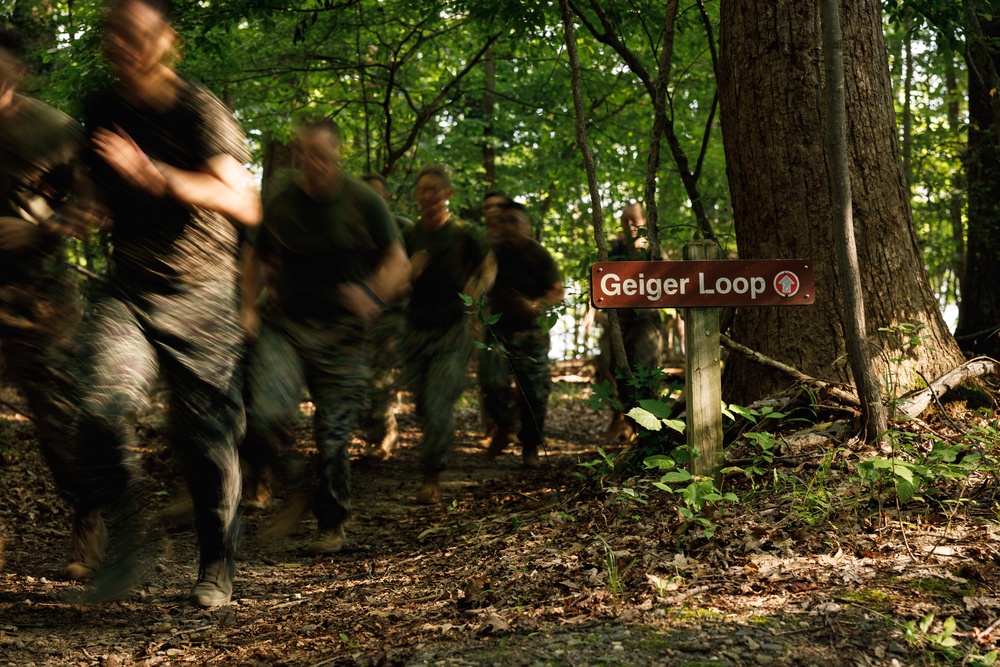 Leadership Decision Making Exercise 1