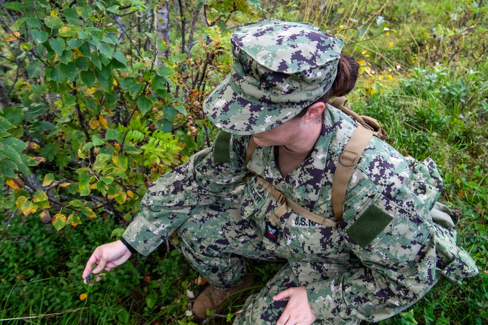 Sailors complete a practical exercise in the wilderness during Northern Viking 2026